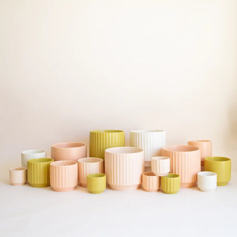 Monroe Planter - Palm