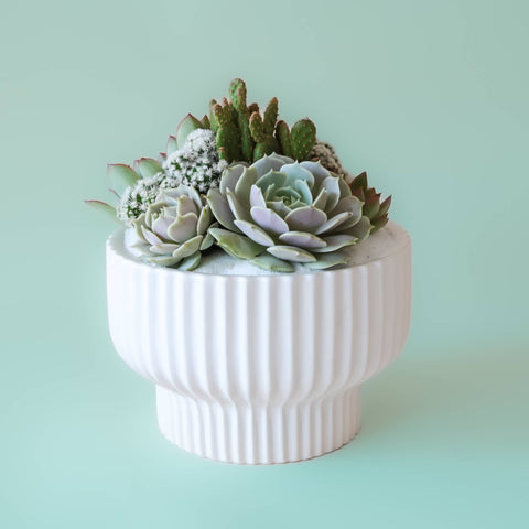 Presley Pedestal Planter - White