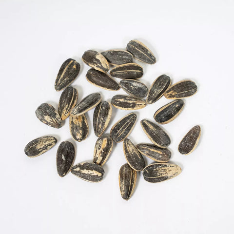 Dill Pickle Sunflower Seeds