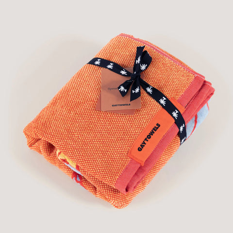 Briefs Towel