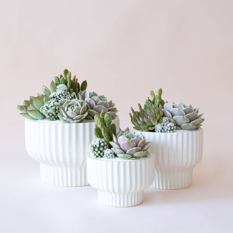 Presley Pedestal Planter - White
